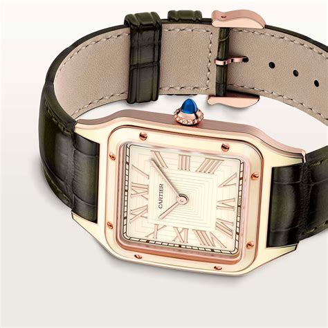 cartier santos dumont wgsa0054|cartier wgsa0054 price.